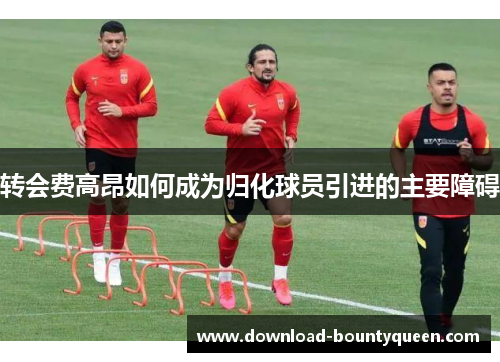 转会费高昂如何成为归化球员引进的主要障碍 转会费高昂如何成为归化球员引进的主要障碍